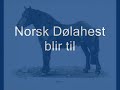 Norsk Dolahest