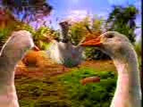 Un pato fuera de lo común