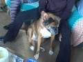 videos de VID00010