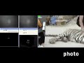 DIY Multitouch Table Touchlib Test DIY Multitouch Table Touchlib Test