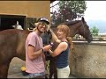 Marco P. und der Reitsport!