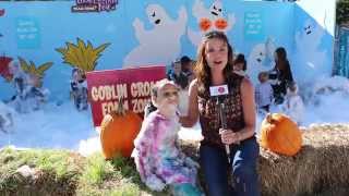 It\\\\\\\'s the Great Pumpkin Fest @Carowinds