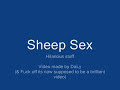 Sheep Sex