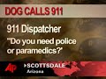 Dog Calls 911 After Owner Has Seizure