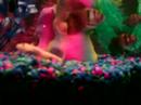 fishes