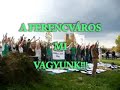 Bőcs - FERENCVÁROS