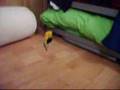 Lego Tower Crane