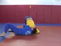 Luis Gutierrez Bjj Highlight