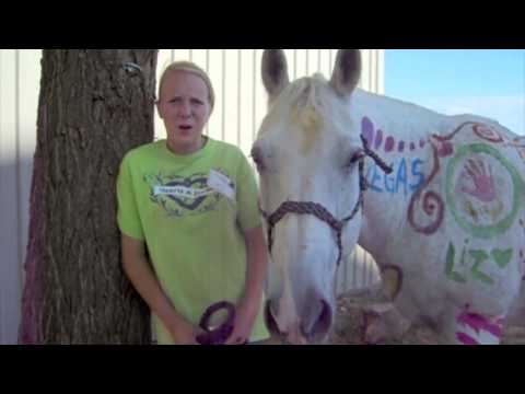 horses grand national horses grand national