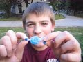 midgets helmet boxing