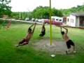 videos de voladores de papantla piratas