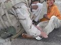The Beautiful People -- Iraq War Montage