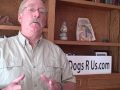 Bird Dogs R Us.com-The Search for Wholesale Real Estate Properties
