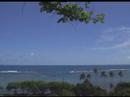 Hawaii - Coach Deb n JP