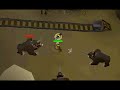 Runescape Dark Bow + Abyssal Whip Drops 2