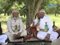 بروموهات  الريف بين العرف والتعريف