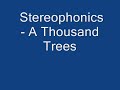 Stereophonics