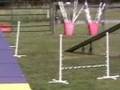 Jake The Swagman Learning Agility 2
