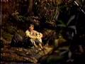 ricardo-montaner-la-