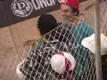 Felipe 
