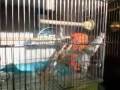 videos de 081226_0905~0001.m4v