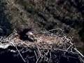 WE Nest: Why didn't someone tell me it was lunchtime! WE Nest: Why didn't someone tell me it was lunchtime!