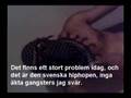 videos de Rasister från Rosengård Hassan säger vad han tycker.