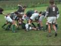 LOS CARDOS vs SPORTING M16