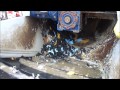 Haith Plastic Washing System.wmv