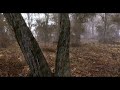 Crysis Realism Shots - Best Of My Work