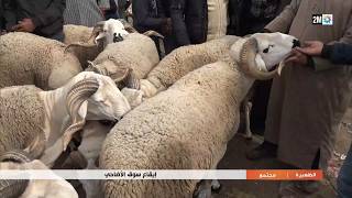 إقاع سوق الأضاحي..