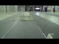 Circus Playing Flyball