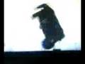 !!!gta 4 swing glitch!!!