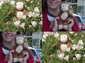 Travels of Code Monkey