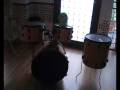 videos de Piggy Show 6