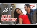 View Video