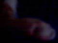 videos de Yin, Ready For Disecting