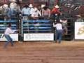Bucking Bulls 4