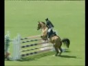 VETROSIA CSI*** VIMEIRO
