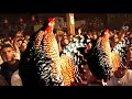red bull batalla de los gallos 07/octavos/piezas vs shintoma
