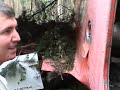 Antonow An-2 SP-ANA accident
