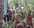 Antonow An-2 SP-ANA accident