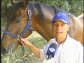 O Brasil é favorito no hipismo, nos Jogos Pan-americanos do Rio de Janeiro. Um dos mais bonitos e tradicionais dos esportes equestres do mundo, o hipismo é também, o único esporte olímpico em que homem e animal compõem um conjunto, onde o cavaleiro precisa ter muito entrosamento com o cavalo para fazer o percurso sem cometer faltas. OUTRAS INFORMAÇÕES NO SITE www.tvgazeta.com.br/jornaldagazeta