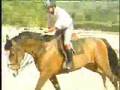 Hipismo