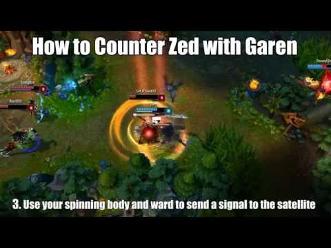 Wood Division Adventures 3/9 - How to Counter Zed
