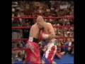 videos de Miguel Cotto Tribute.WMV
