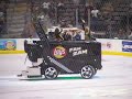 Dallas Stars Fan Zam