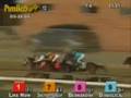 Bernardini - 2006 Preakness Stakes (Standard & Front Views) Dave Rodman's Call