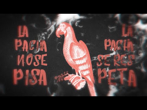 EBRI KNIGHT Estrena el video "La Pacha"