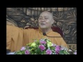 Gốc tu Thiền
